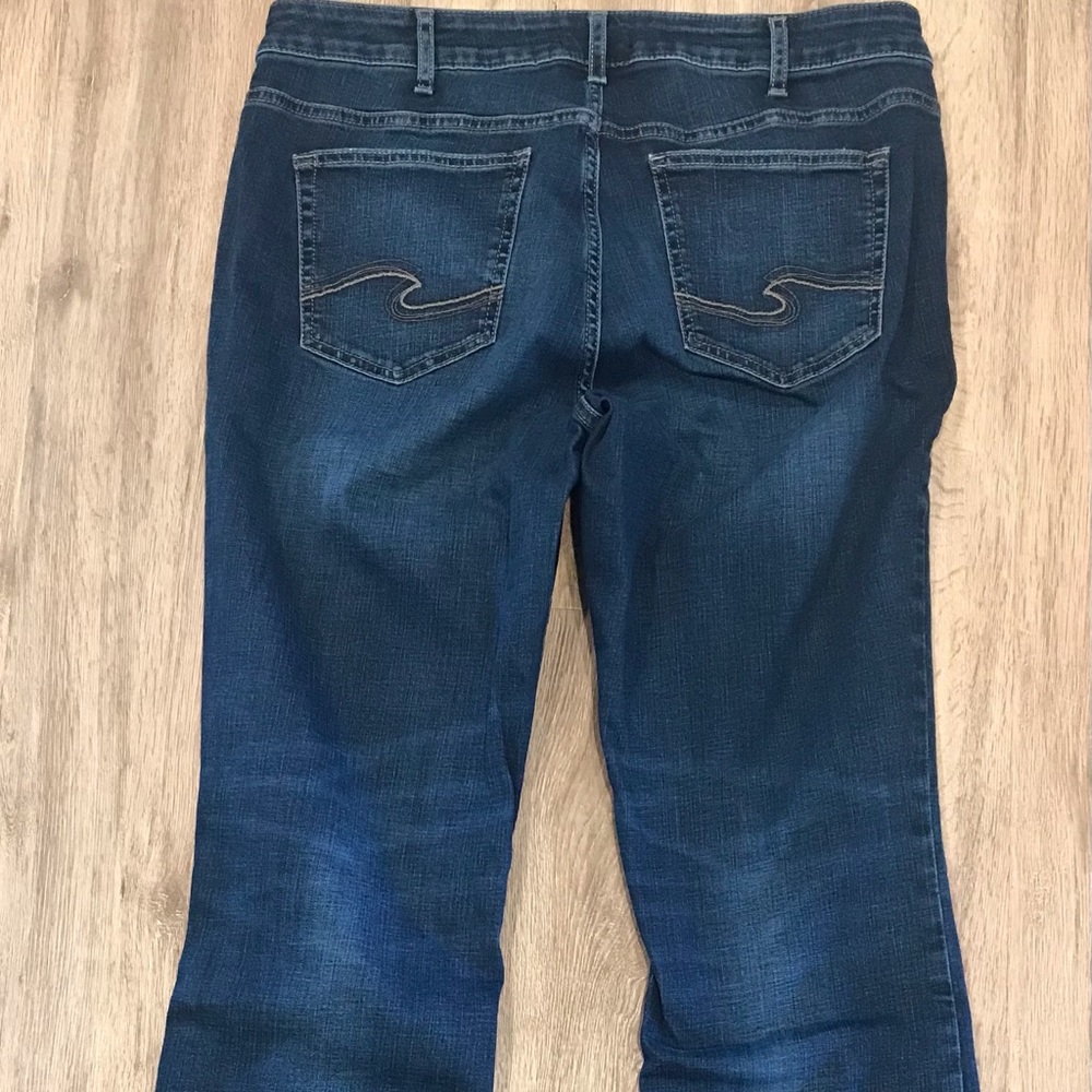 Silver Suki 14W plus 31” length